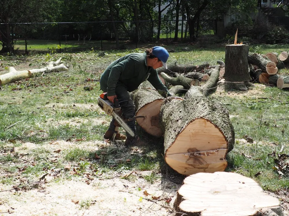 Custom landscape design with custom design across Garden City South, NY - M. Ramirez Landscaping