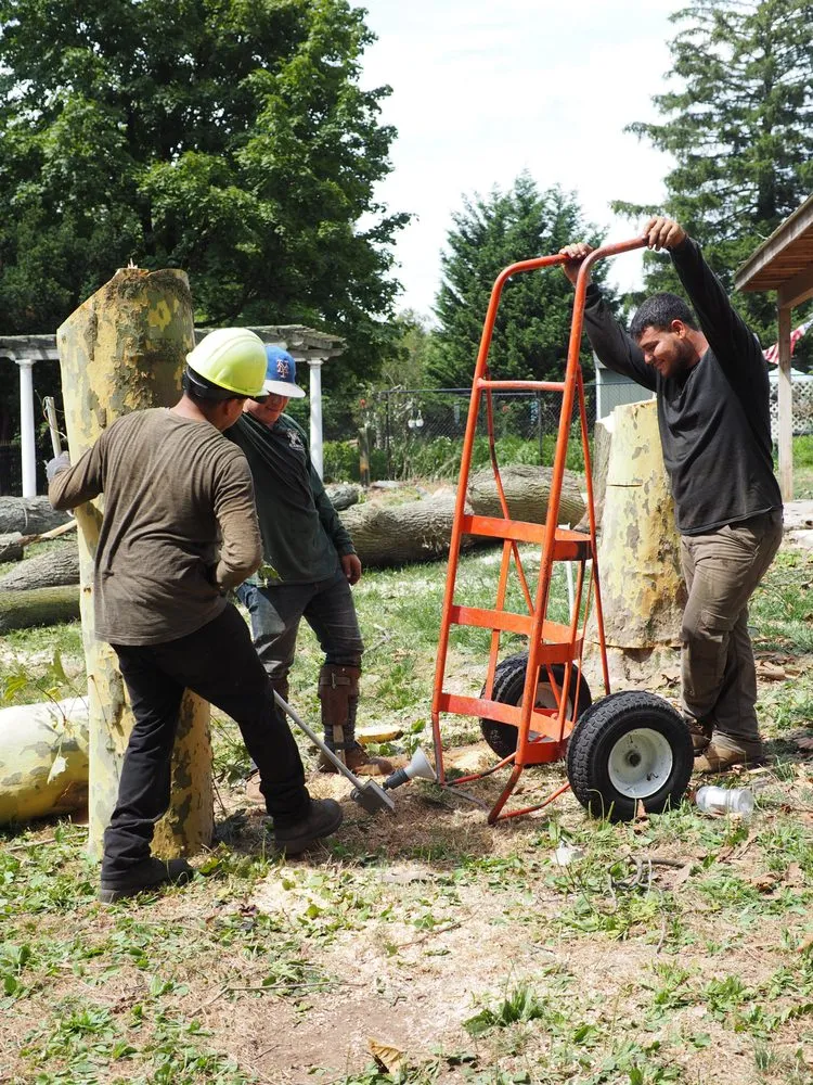 Custom landscaping services for year-round maintenance in Garden City South, NY by M. Ramirez Landscaping