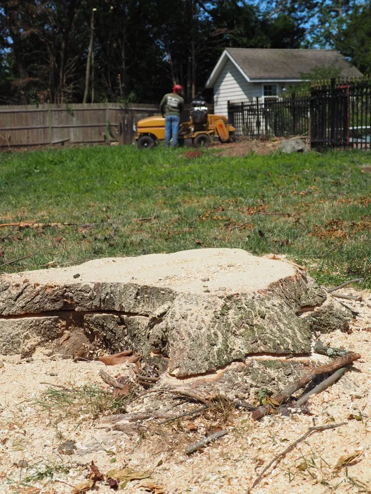 Trusted landscape installation for beautiful yards across Garden City South, NY - M. Ramirez Landscaping