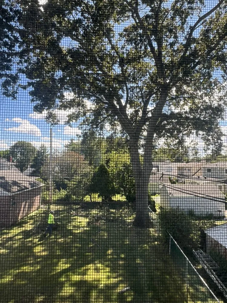 Affordable garden landscaping for year-round maintenance across Garden City South, NY - M. Ramirez Landscaping