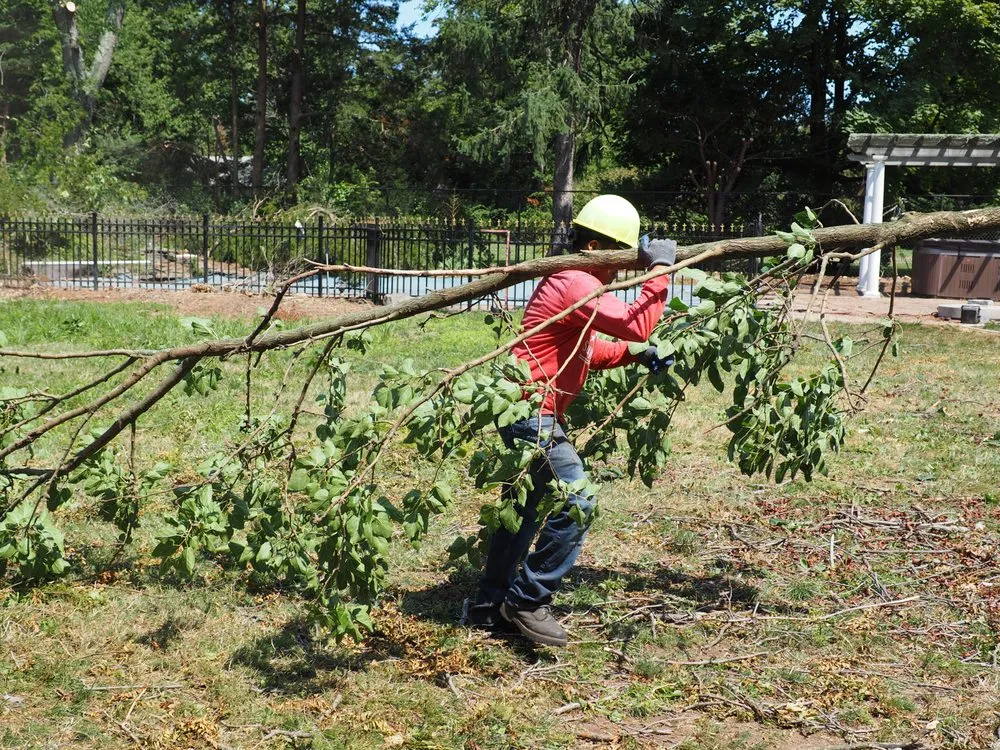 Expert lawn care service with custom design across Garden City South, NY - M. Ramirez Landscaping