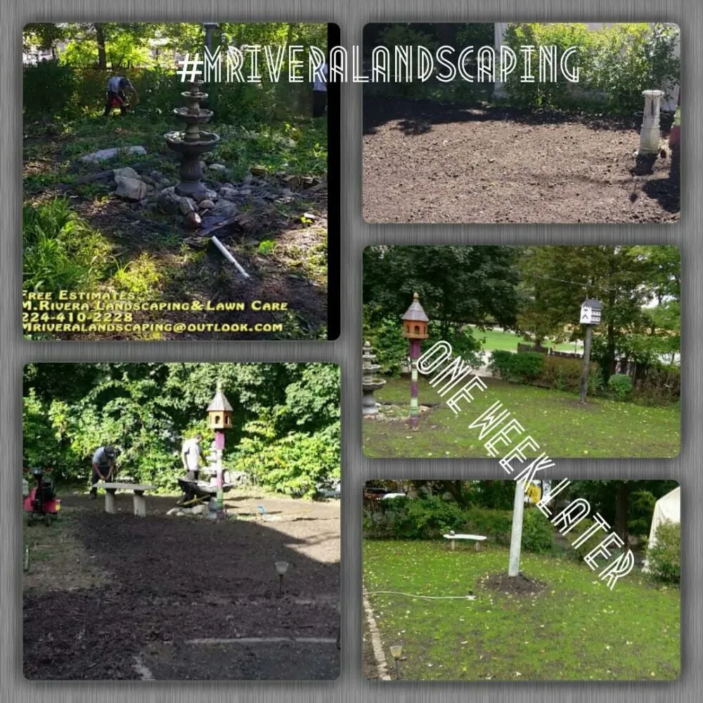 Affordable landscape design in Waukegan, IL - M Rivera Landscape