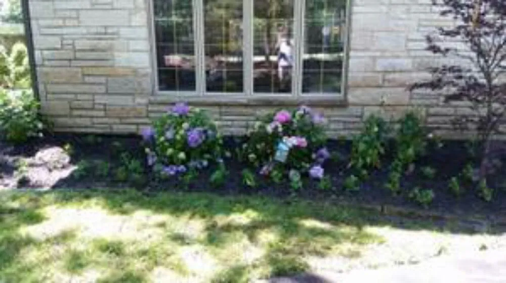 Expert residential landscaping experts serving Waukegan, IL - M Rivera Landscape