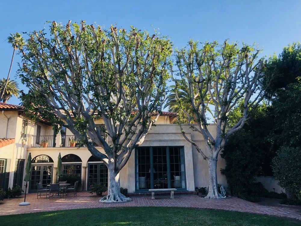 Trusted lawn mowing service for beautiful yards in Inglewood, CA by M. Rodriguez Landscape