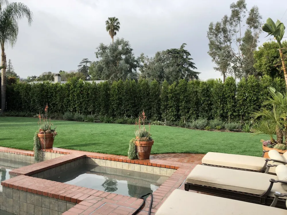 Top-rated lawn care service experts serving Inglewood, CA - M. Rodriguez Landscape