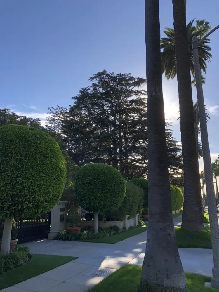 Local residential landscaping in Inglewood, CA by M. Rodriguez Landscape