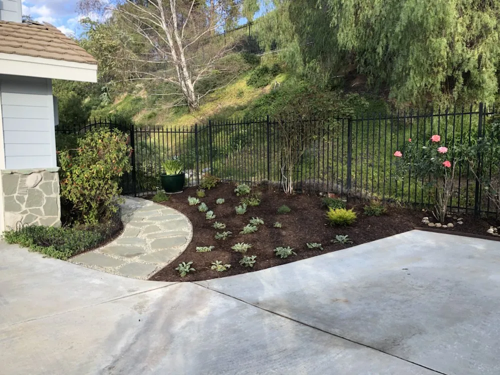 Professional yard maintenance in Inglewood, CA - M. Rodriguez Landscape