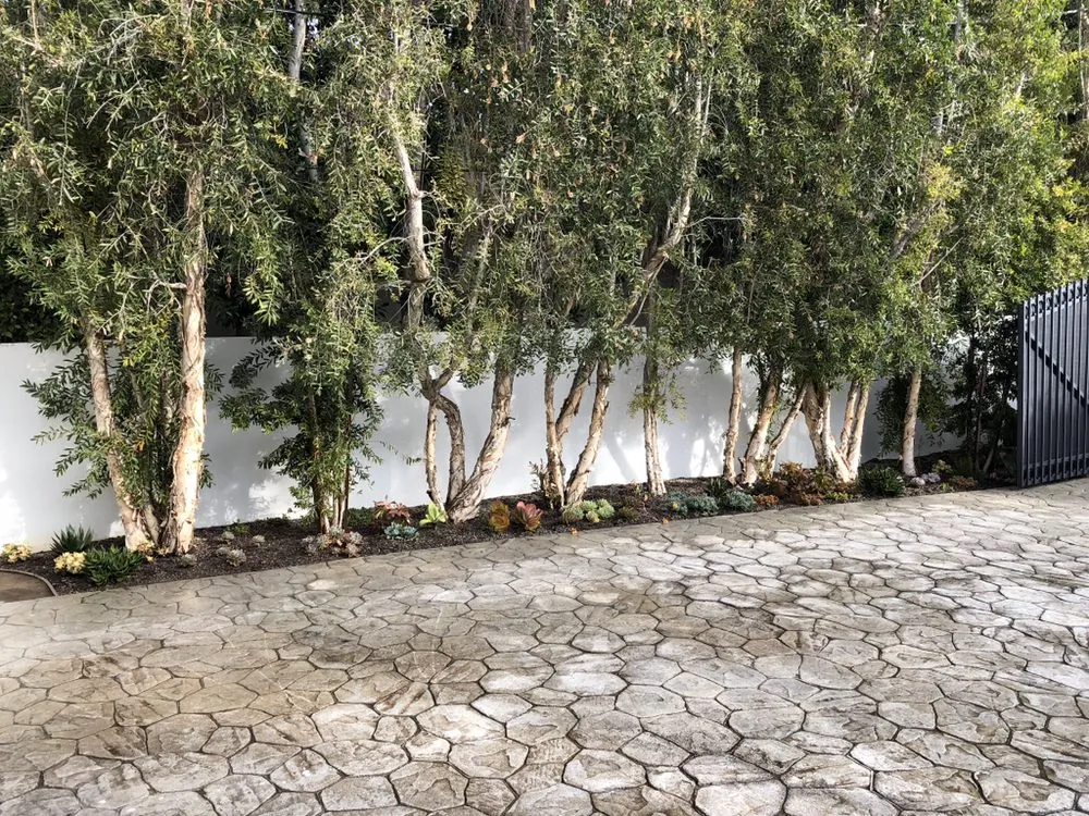 Professional lawn care service for residential properties across Inglewood, CA - M. Rodriguez Landscape