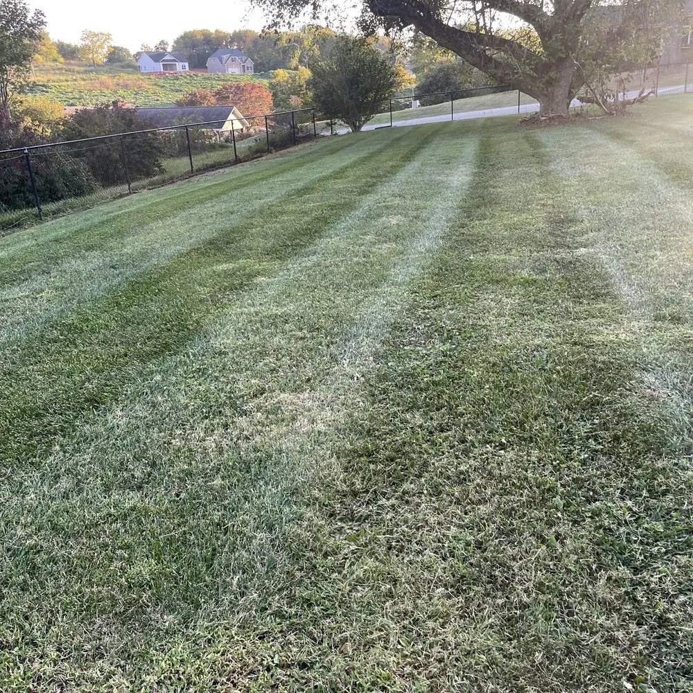 Local residential landscaping for residential properties across Claremont, NC - M Rojas Lawn Care