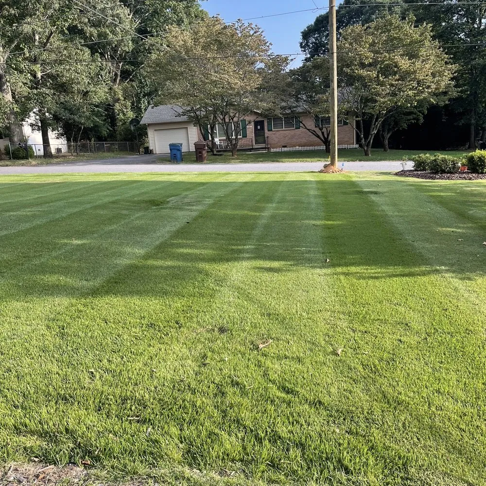 Local garden landscaping for outdoor upgrades across Claremont, NC - M Rojas Lawn Care