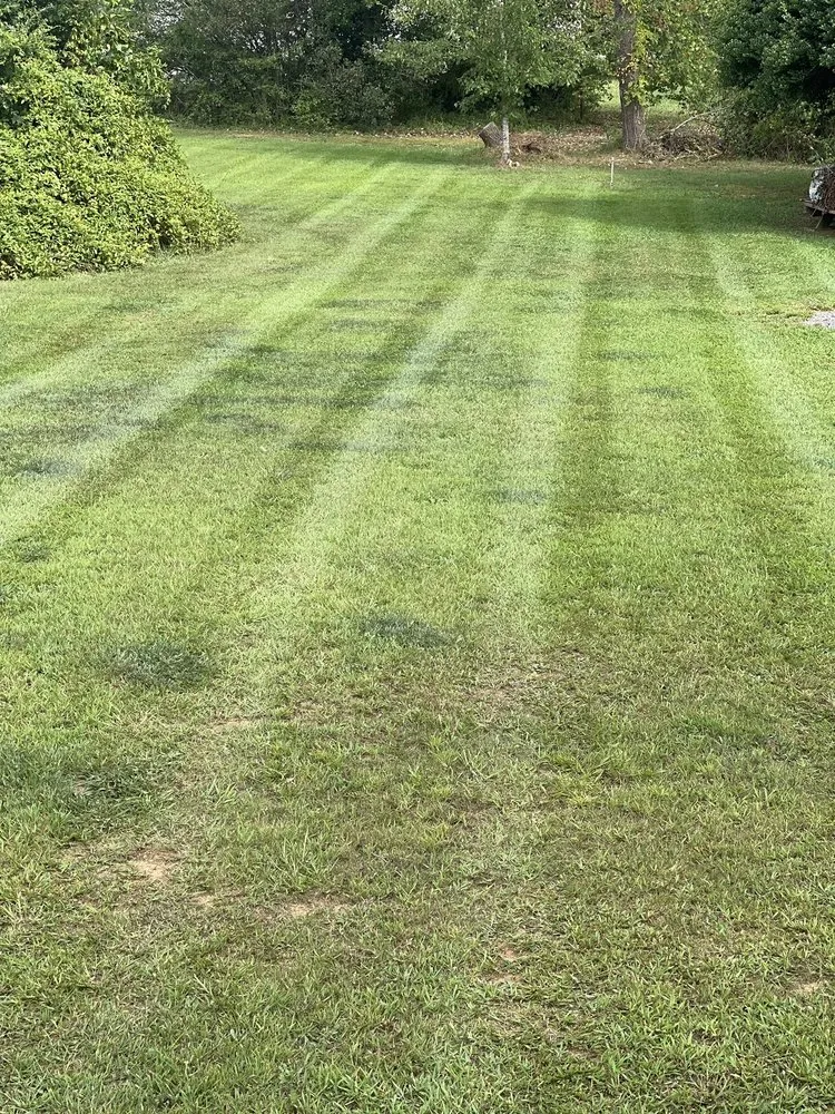 Custom landscaping services for homes in Claremont, NC by M Rojas Lawn Care