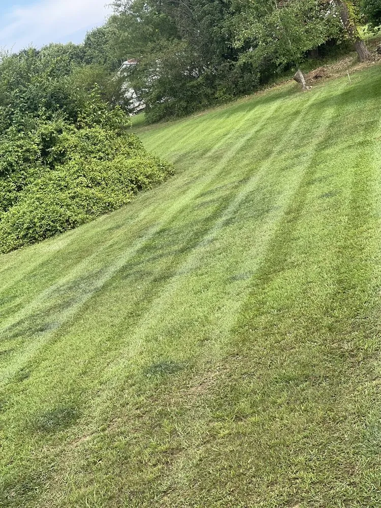 Local residential landscaping in Claremont, NC - M Rojas Lawn Care