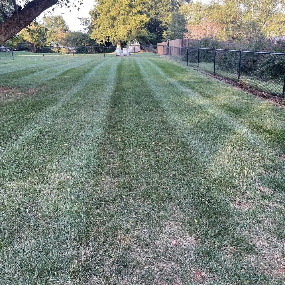 Top-rated yard cleanup service experts serving Claremont, NC - M Rojas Lawn Care