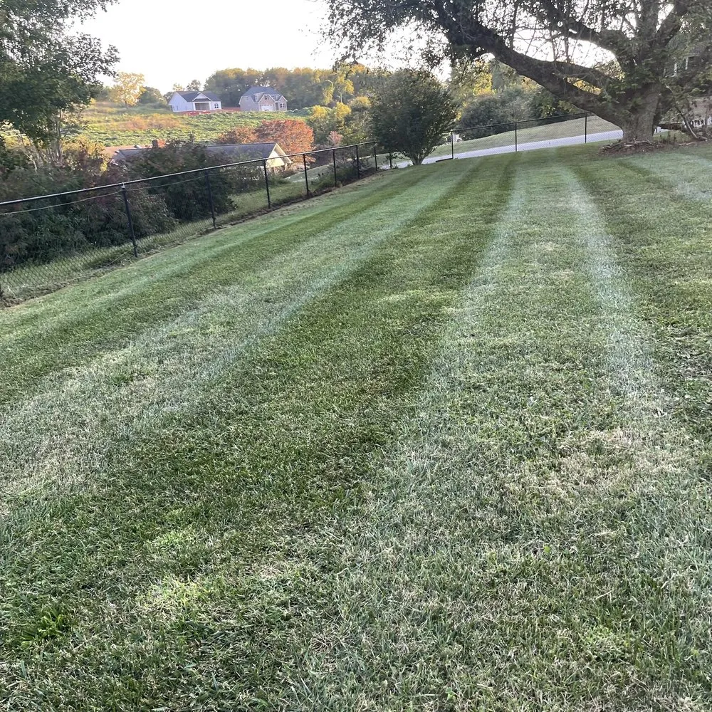 Reliable landscaping services in Claremont, NC by M Rojas Lawn Care