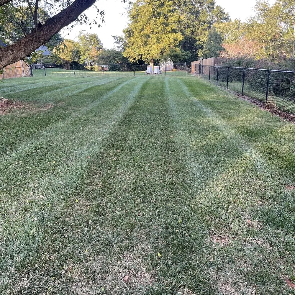 Reliable lawn mowing service experts serving Claremont, NC - M Rojas Lawn Care
