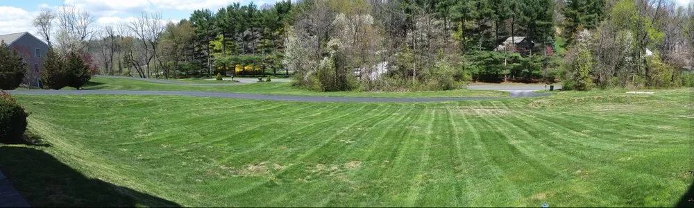 Reliable yard cleanup service for outdoor upgrades across Downingtown, PA - M S Boggs Enterprises