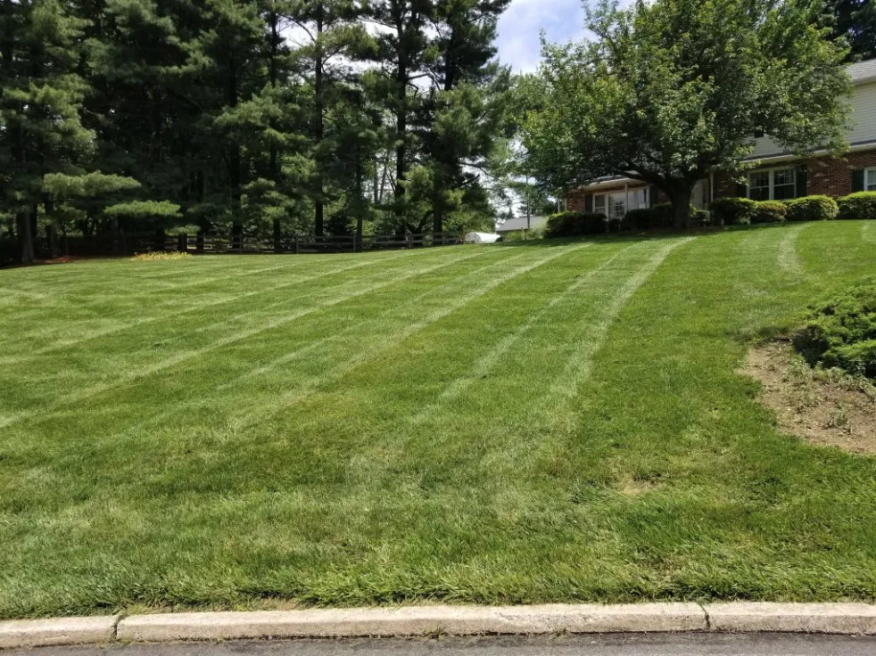 Expert outdoor landscaping in Downingtown, PA by M S Boggs Enterprises