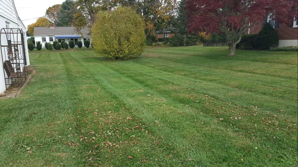 Top-rated landscape installation in Downingtown, PA - M S Boggs Enterprises