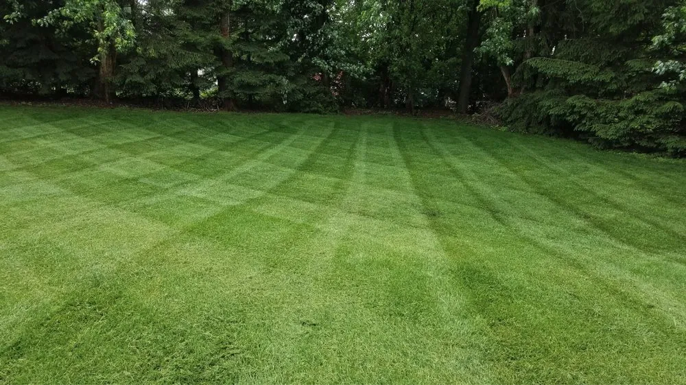 Professional yard maintenance in Downingtown, PA - M S Boggs Enterprises