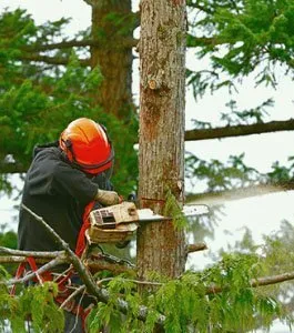 Custom garden landscaping for outdoor upgrades in Richmond, VA by M Santos Landscaping & Tree Service