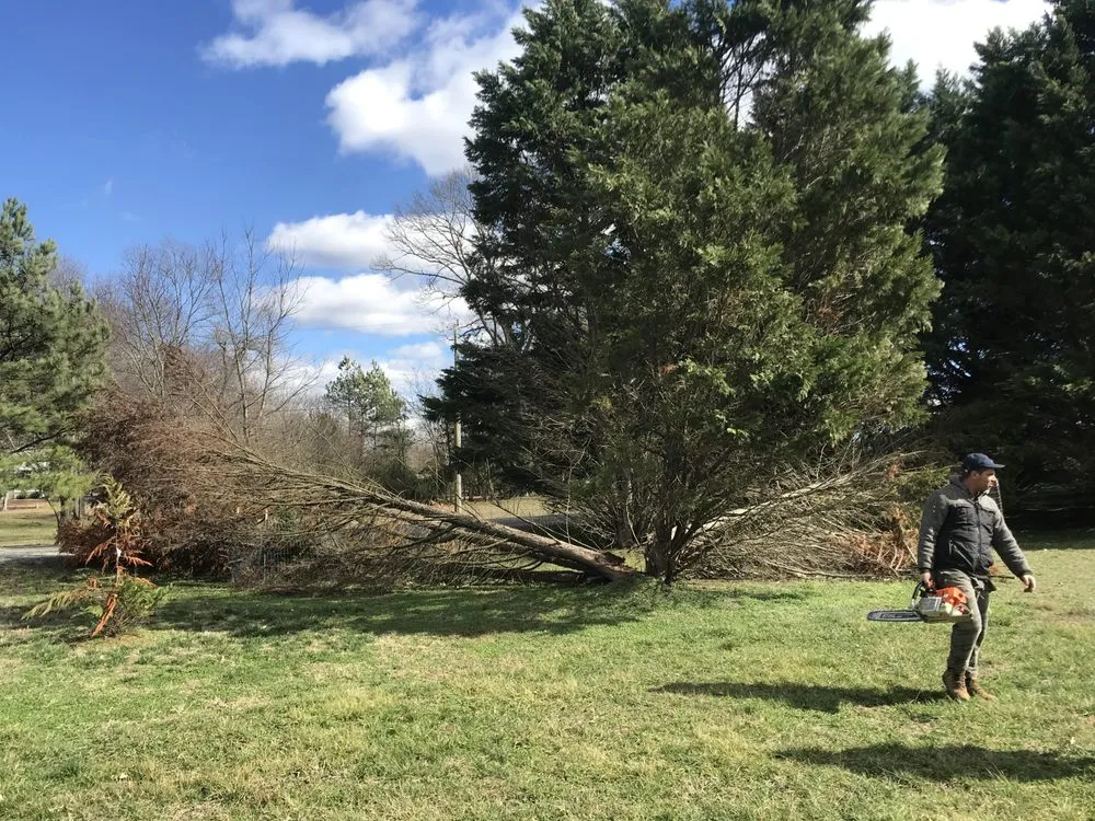 Professional landscape installation in Richmond, VA by M Santos Landscaping & Tree Service