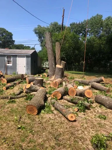 Professional landscape installation in Richmond, VA - M Santos Landscaping & Tree Service