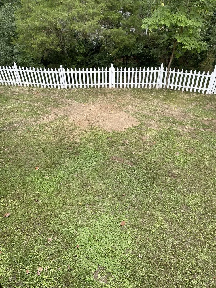 Custom landscaping services for year-round maintenance across Richmond, VA - M Santos Landscaping & Tree Service