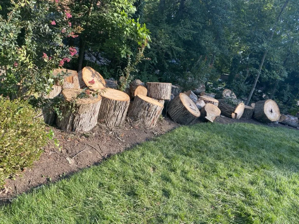 Custom residential landscaping for residential properties across Richmond, VA - M Santos Landscaping & Tree Service