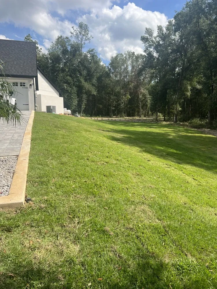 Affordable lawn care service for residential properties in The Villages, FL by M Solid Construction