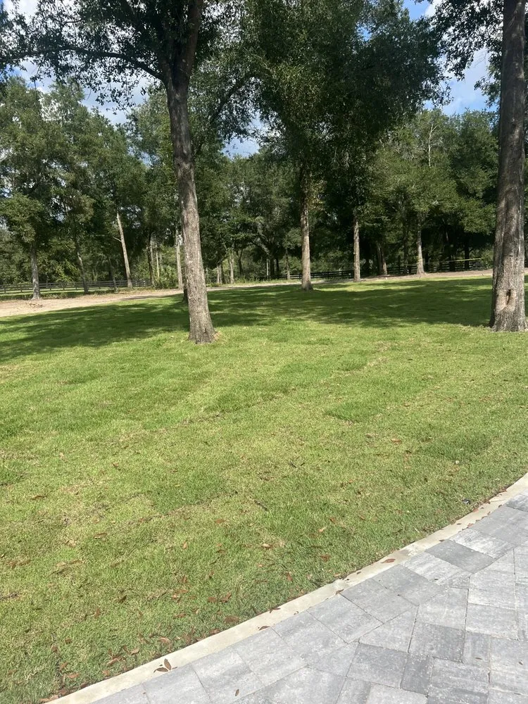 Professional garden landscaping experts serving The Villages, FL - M Solid Construction