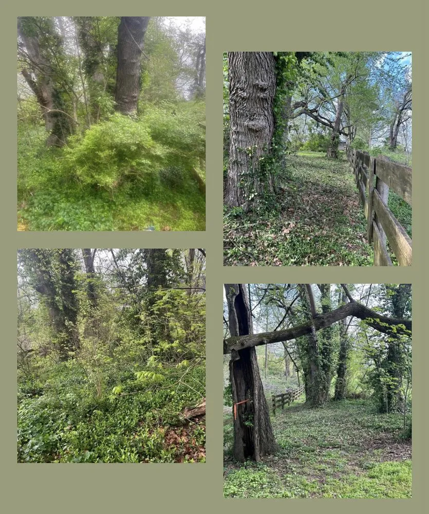 Professional landscape installation for homes across Horse Cave, KY - M Squared Contracting