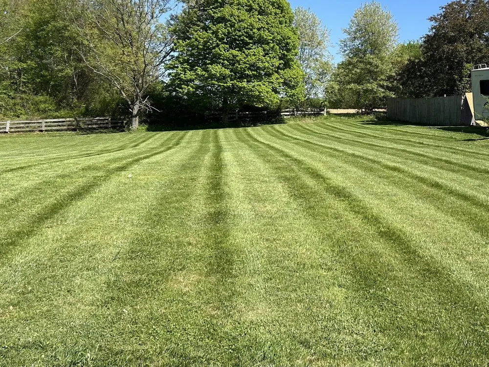 Local yard maintenance in Horse Cave, KY - M Squared Contracting