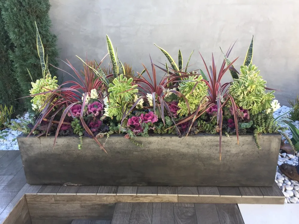 Top-rated lawn mowing service for beautiful yards in Los Angeles, CA by M Squared Landscapes