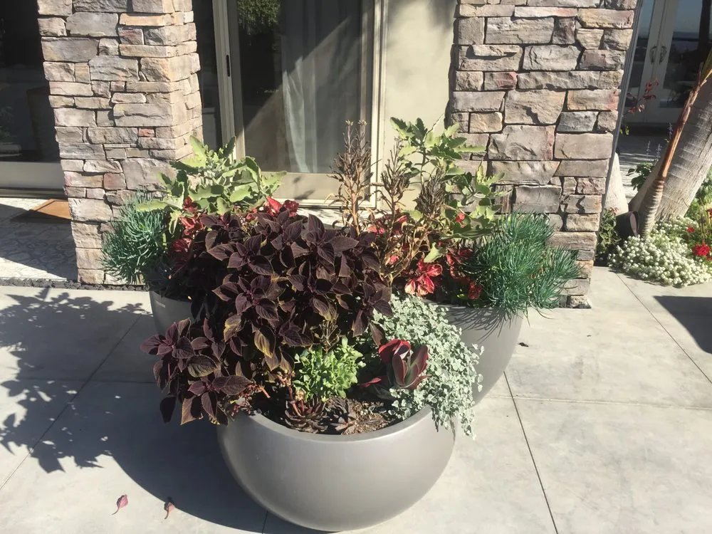 Affordable outdoor landscaping in Los Angeles, CA by M Squared Landscapes