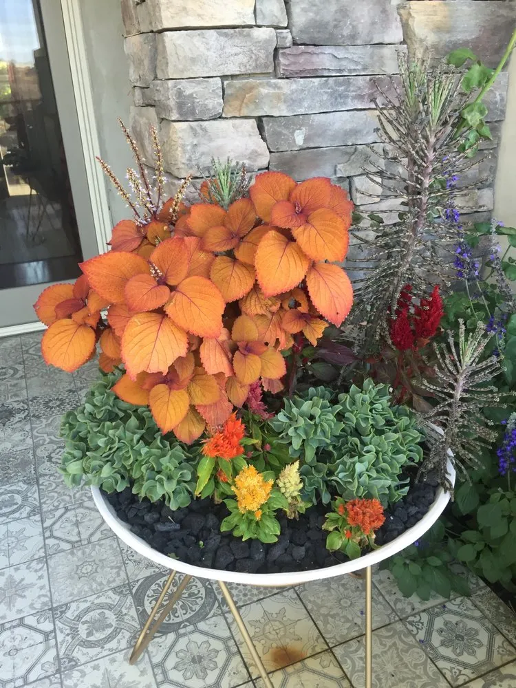 Professional residential landscaping for beautiful yards in Los Angeles, CA by M Squared Landscapes