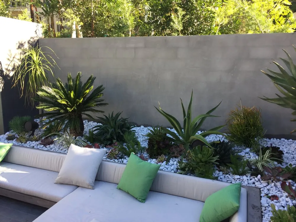 Expert yard cleanup service for beautiful yards in Los Angeles, CA by M Squared Landscapes
