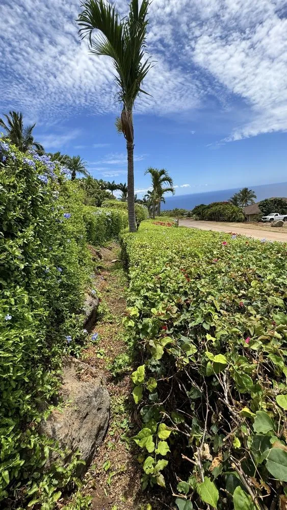 Trusted landscape design for residential properties in Lahaina, HI by M T Landscaping