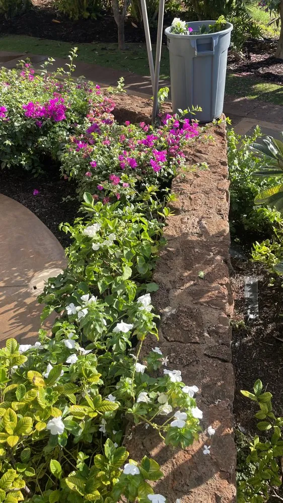 Reliable landscape design experts serving Lahaina, HI - M T Landscaping