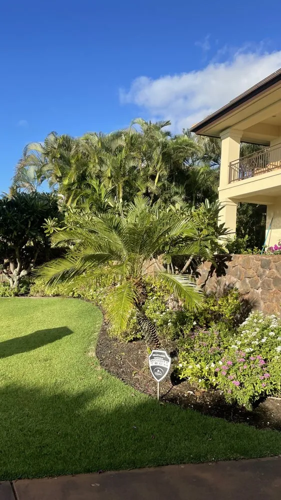 Professional lawn care service experts serving Lahaina, HI - M T Landscaping