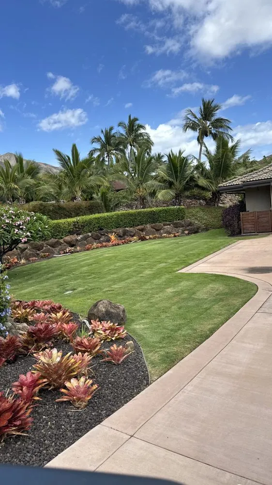 Local yard maintenance experts serving Lahaina, HI - M T Landscaping