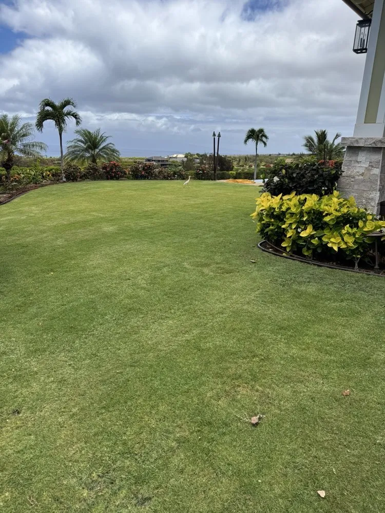 Reliable landscaping services for beautiful yards across Lahaina, HI - M T Landscaping