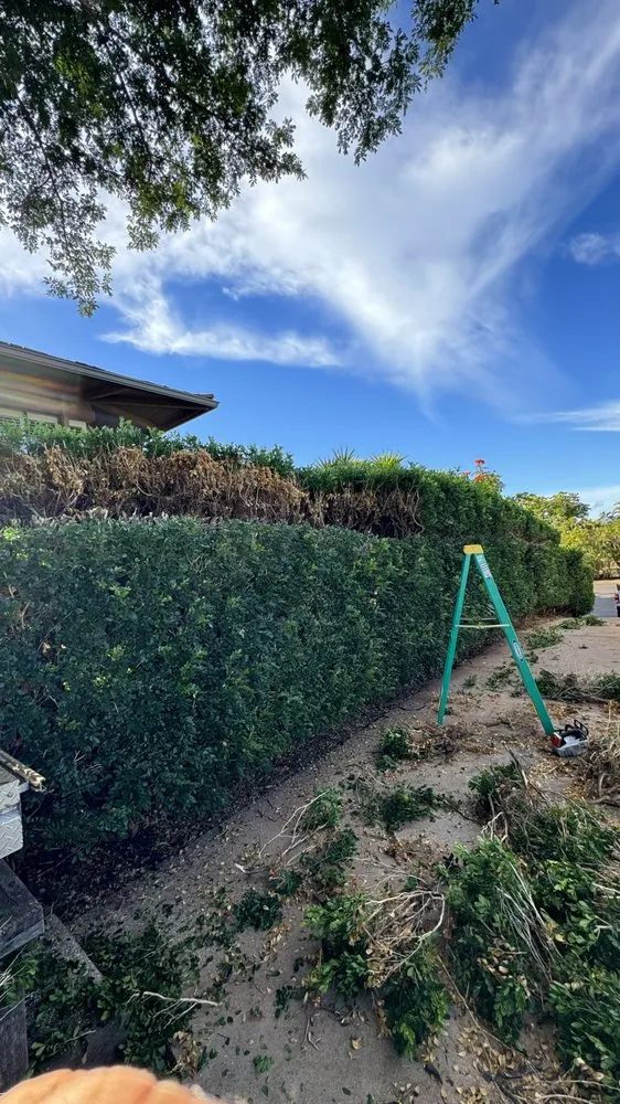 Local yard maintenance experts serving Lahaina, HI - M T Landscaping