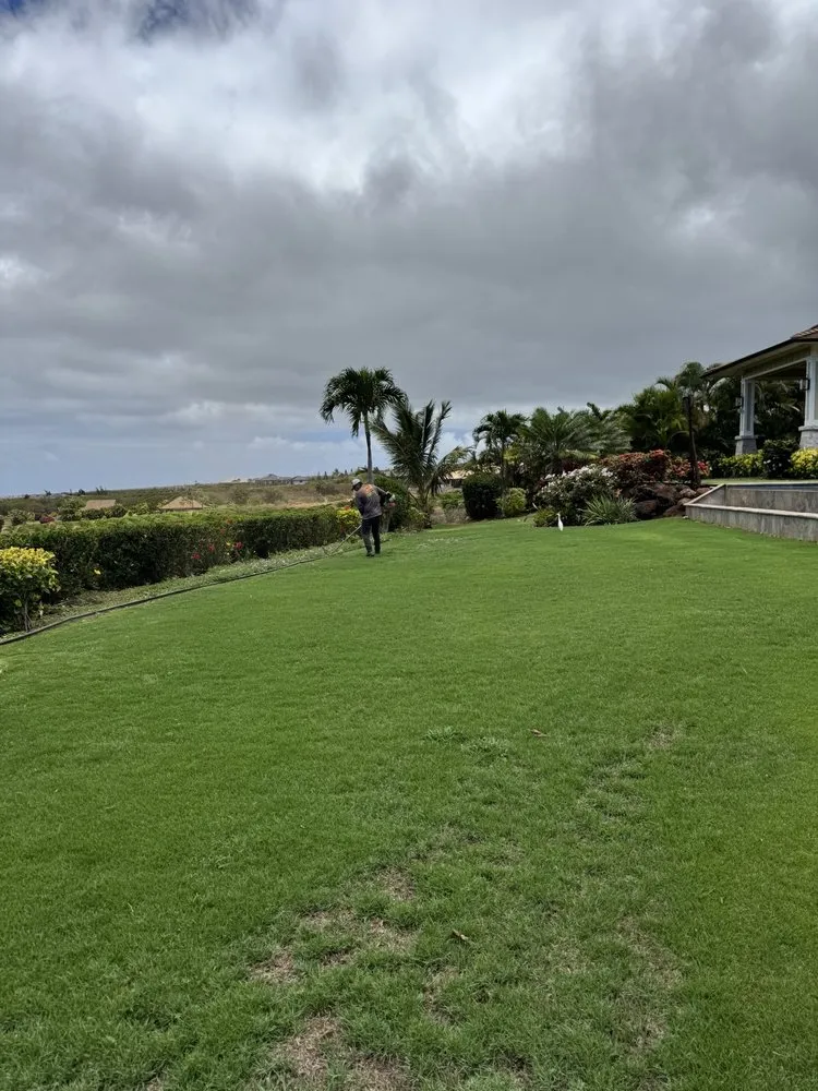 Trusted garden landscaping for beautiful yards in Lahaina, HI by M T Landscaping