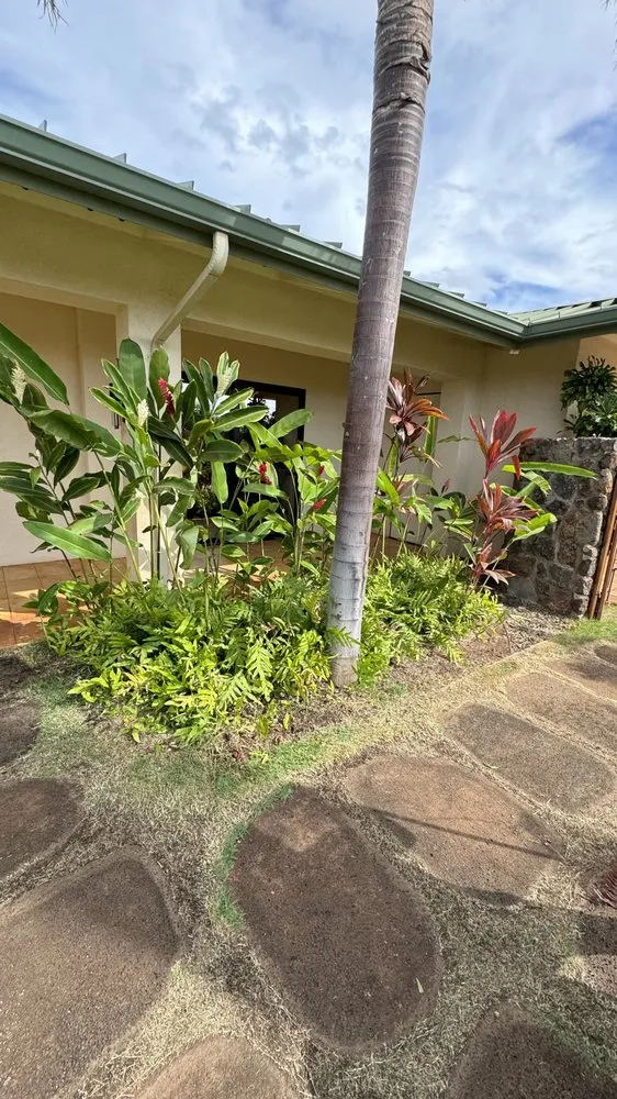 Trusted yard maintenance experts serving Lahaina, HI - M T Landscaping