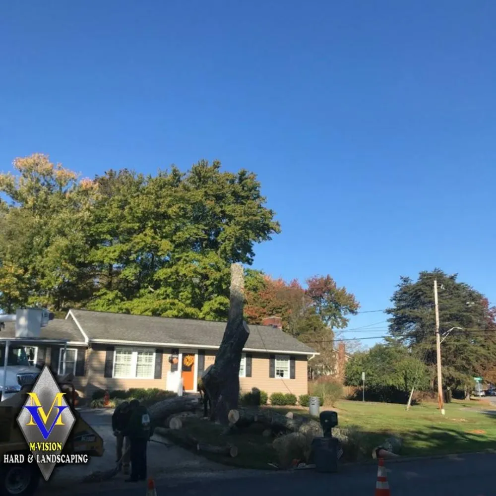 Reliable yard maintenance for beautiful yards in Lanham, MD by M-Vision Hard And Landscaping