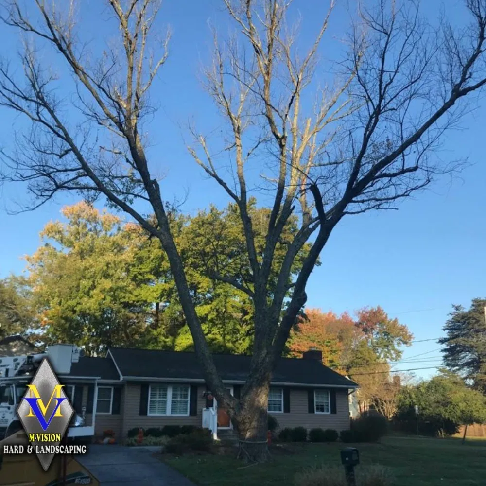 Expert residential landscaping near you in Lanham, MD by M-Vision Hard And Landscaping