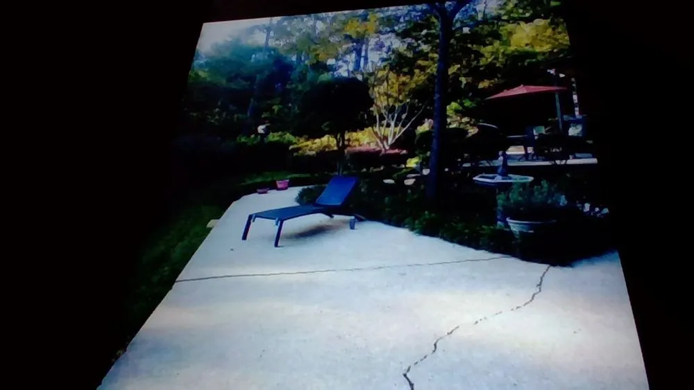 Custom yard cleanup service in Columbia, SC by M Woods Landscaping