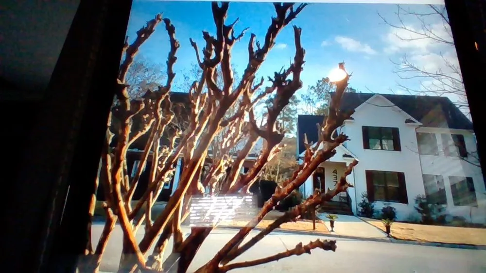 Trusted garden landscaping in Columbia, SC by M Woods Landscaping