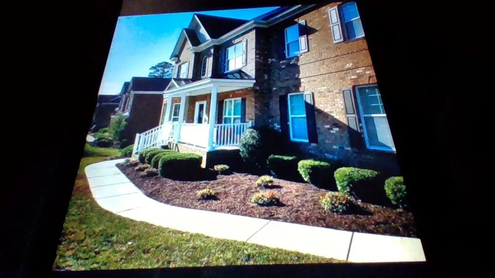 Affordable yard cleanup service in Columbia, SC - M Woods Landscaping