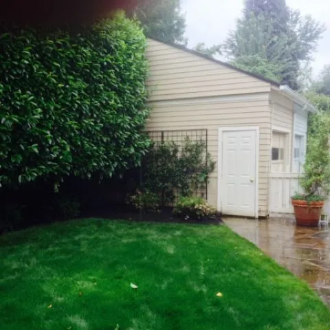 Professional residential landscaping in Portland, OR by M Y C Yard Maintenance